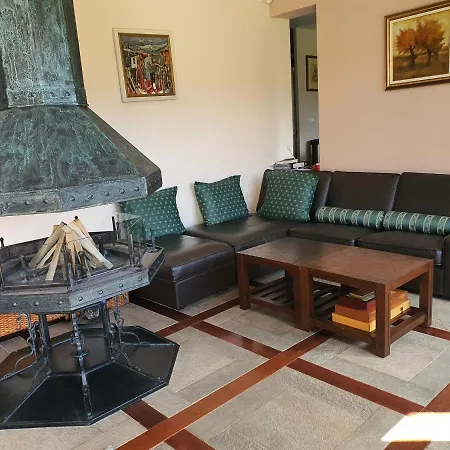 Ski&spa Villa *